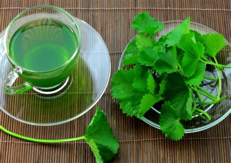 PARSLEY TEA - THE HEALTH-PACKED CURE! - Graphic Recipes