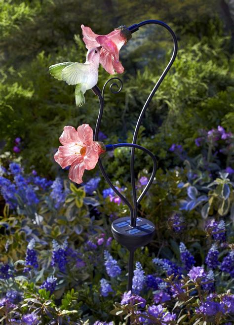 Another fabulous August Deal for your garden is this pretty Moonray Hummingbird Garden St ...