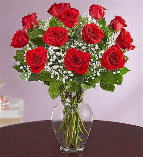 Rose Elegance™ Premium Long Stem Red Roses | 1800Flowers.com - 161776