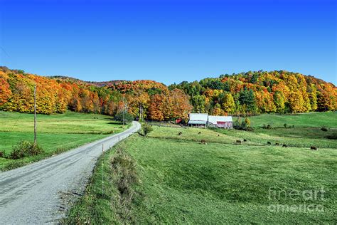 Vermont Farm Photograph by John Greim - Fine Art America