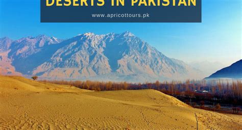 Deserts in Pakistan - 2024-25 | Apricot Tours