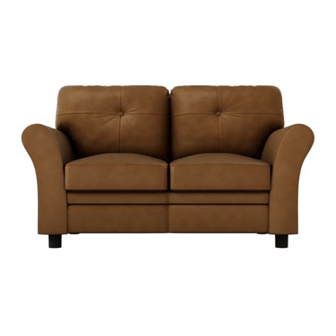 Buy Orlando 2 Seater Leather Sofa in Brown | Godrej Interio