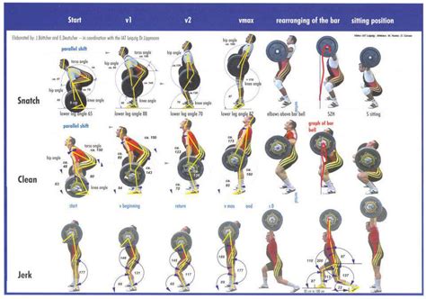 Weightlifting Technique Posters for Snatch + Clean & Jerk - All Things Gym