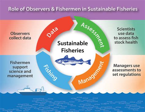 1. The role of observers and fishermen in sustainable fisheries. | Download Scientific Diagram