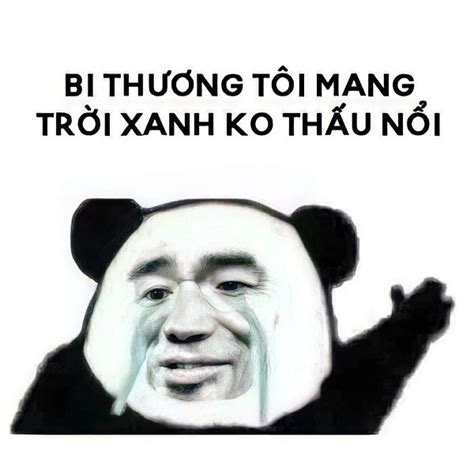 57+ ảnh Meme buồn bã sầu bi cute sáng tạo bá đạo | Công Ty Thế Giới Túi Giấy