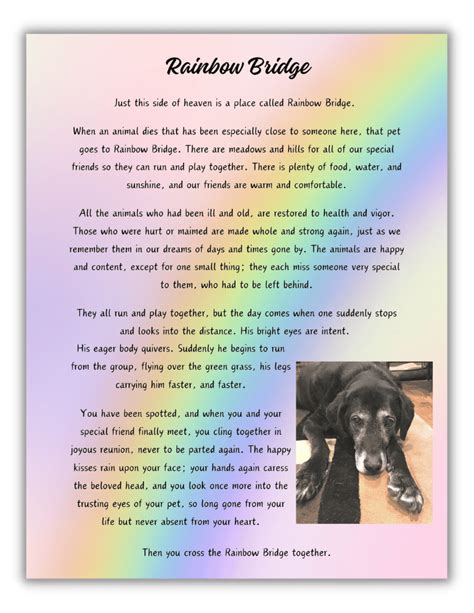 Images Rainbow Bridge Poem Pdf - Infoupdate.org