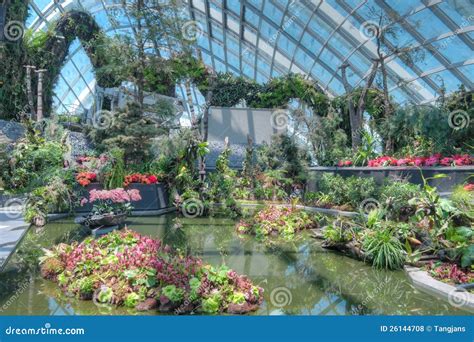 Cloud Forest, Gardens By The Bay Editorial Stock Photo - Image: 26144708