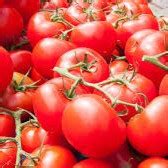 Large Vine Tomatoes | Chapmans Farm Shop