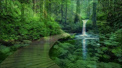 17++ Hd Green Nature Wallpapers For Laptop - Basty Wallpaper