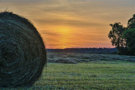 Hayfield During Sunset · Free Stock Photo