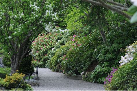 MUN Botanical Garden – Outdoor Learning NL