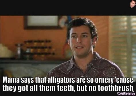 Adam Sandler Funny Quotes - Funny Memes