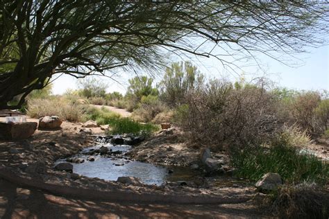 Riparian Preserve at Water Ranch in Gilbert Arizona