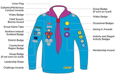 Beavers – Badges | Leire & Dunton Scout Group