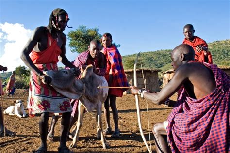 Maasai Tribe Facts, Language, Religion, Culture, Diet & Clothing