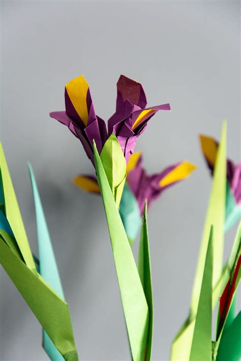 Decorate Your Home With Vibrant Origami Iris Flowers | Origami flowers, Flower oragami, Iris flowers