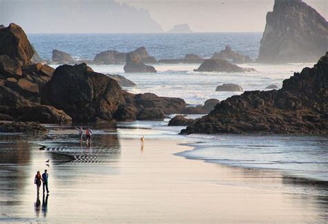 Are Dogs Allowed On Beaches In Oregon