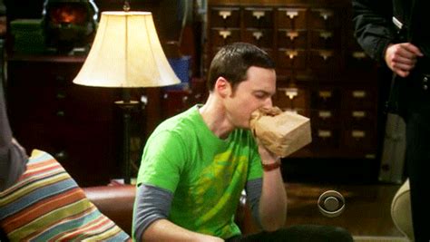 Animated Meme: Big Bang Theory: Sheldon Gifs