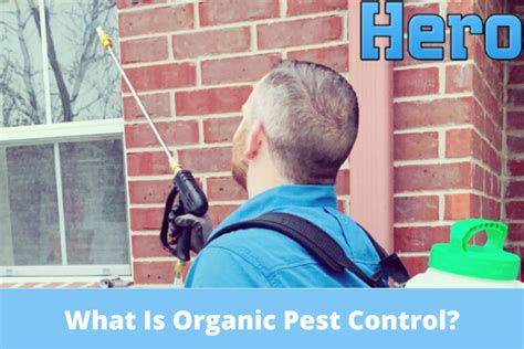 What Is Organic Pest Control?