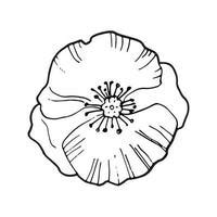 Line Drawing Poppy Flower | Best Flower Site