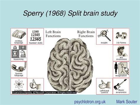 PPT - Sperry (1968) Split brain study PowerPoint Presentation - ID:374710