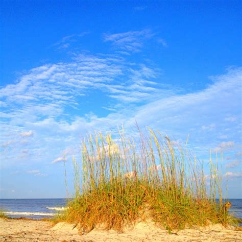 Typical Beach Area on Hilton Head Island, South Carolina | March vacation, Hilton head south ...