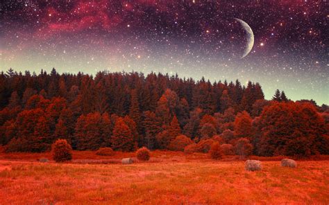 forest, Tree, Landscape, Nature, Autumn, Sky, Night, Stars, Fantasy ...