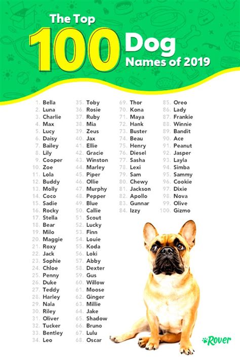 Cute #Cute | Top dog names, Dog names, Puppy names