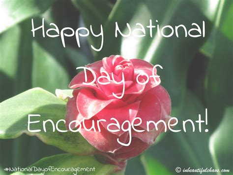 Happy National Day of Encouragement! - In Beautiful Chaos