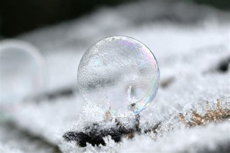 Free Images : water, snow, cold, winter, leaf, frost, ice, weather, colorful, season, close up ...