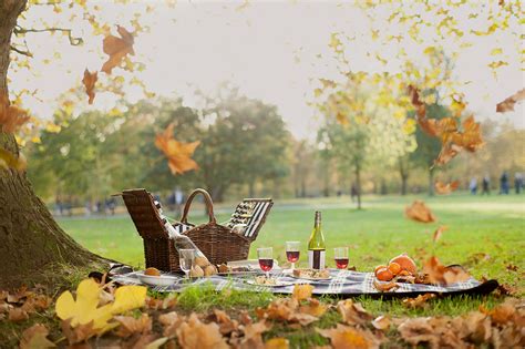 Picnic wallpapers, Food, HQ Picnic pictures | 4K Wallpapers 2019