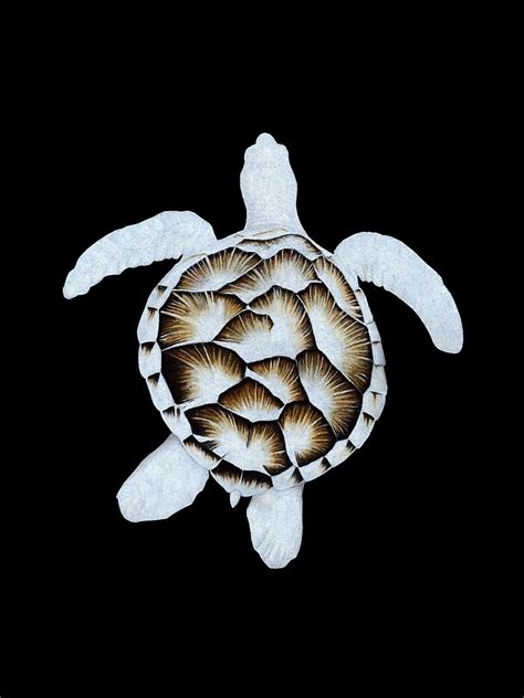 "Sea-Shell - Albino Sea Turtle" Art Print for Sale by ArtyOrca | Redbubble