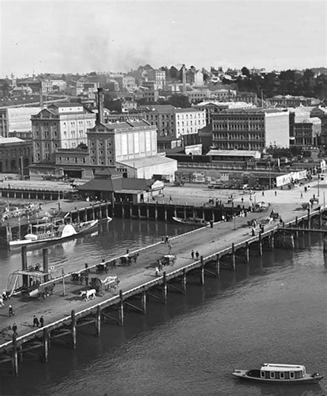 Auckland - 1904 | Auckland, Photo record, Old photos