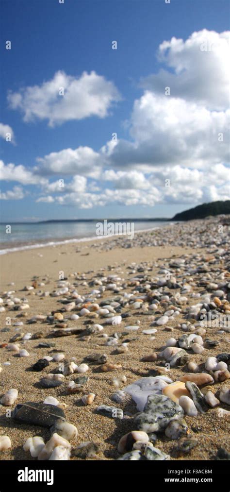 Gyllyngvase Beach Falmouth Stock Photo - Alamy