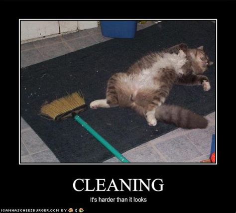 House Cleaning Funny Quotes. QuotesGram