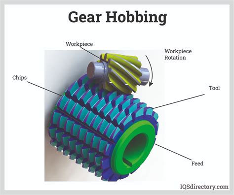 Worm Gear: What Is It? How Is it Made? Types Of, Uses