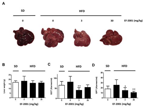 IJMS | Free Full-Text | Heat-Killed Enterococcus faecalis Inhibit FL83B ...