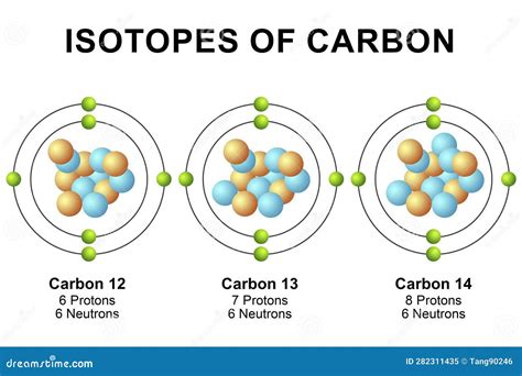 Isotopes Of Carbon Cartoon Vector | CartoonDealer.com #80259031