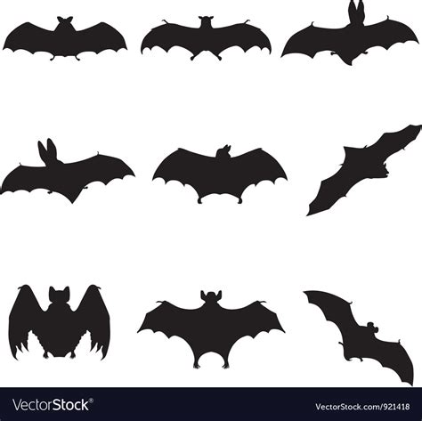 Bats flying silhouette detailed Royalty Free Vector Image