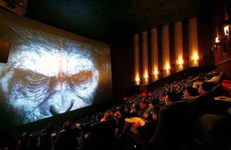 Imax Projector Screen