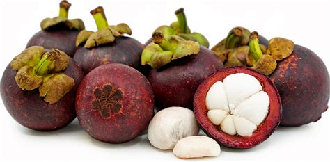 Mangosteen Information, Recipes and Facts