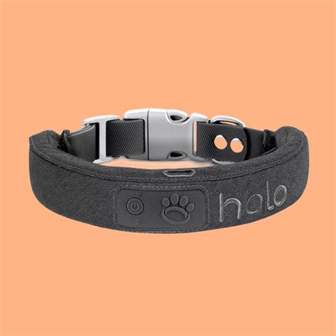 Halo 2+ Dog Collar Review (I Tested it in February 2024)