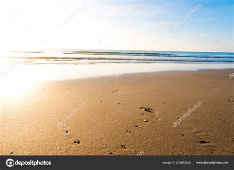 Footprints Sand Tropical Beach Sunset Summer Time — Stock Photo ...