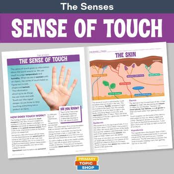 The Sense of Touch by Primary Topic Shop | TPT