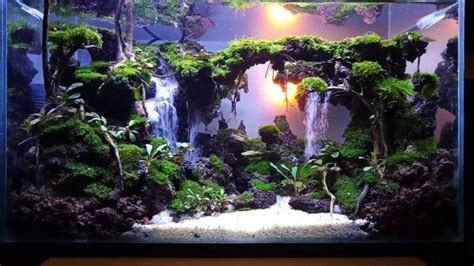 25 Best Aquascaping Ideas with Instructional Guide for 2022 - Foter