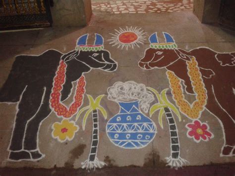 my mattu pongal kolam | Rangoli ideas, Simple designs to draw ...