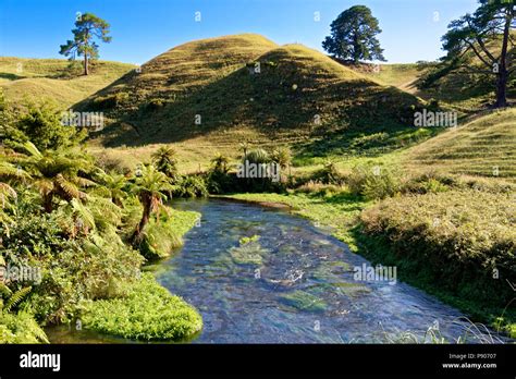 North And South Island New Zealand Scenery