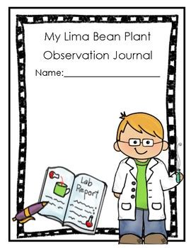 Lima Bean Investigation and Experiment by 2nd Grade Lemonade | TpT