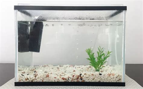 9 Aquarium Filter Types for Fish Tanks (Pros and Cons) - Aqua49