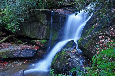 The 15 Best Pisgah National Forest Waterfalls to Explore